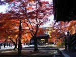 [061124_20.jpg]