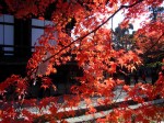 [061124_21.jpg]