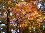 [061124_42.jpg]