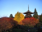 [061124_43.jpg]