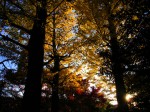 [061124_45.jpg]