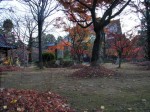 [061202_11.jpg]