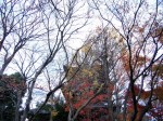 [061208_32.jpg]