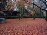 [061208_9.jpg]