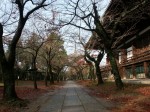 [061215_10.jpg]