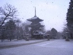 [061229_17.jpg]