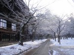 [061229_20.jpg]