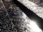 [061229_29.jpg]