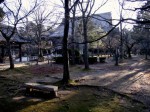 [070105_21.jpg]