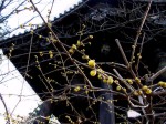 [070112_16.jpg]