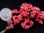 [070119_16.jpg]