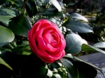 [070119_4.jpg]