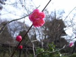 [070119_5.jpg]