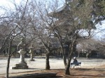 [070126_20.jpg]