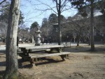 [070126_23.jpg]