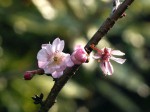 [070126_26.jpg]