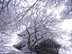 [070202_17.jpg]