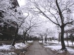 [070202_21.jpg]