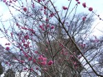 [070202_29.jpg]