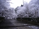 [070202_5.jpg]
