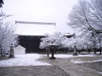 [070202_9.jpg]