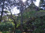 [070216_16.jpg]