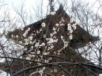 [070216_7.jpg]