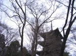 [070224_17.jpg]