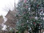 [070224_5.jpg]