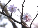 [070302_1.jpg]