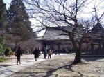 [070310_12.jpg]