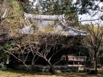 [070316_11.jpg]