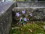 [070316_15.jpg]