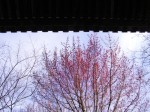 [070316_21.jpg]