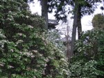 [070316_6.jpg]