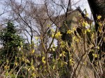 [070323_8.jpg]