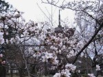 [070330_14.jpg]