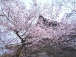 [070330_18.jpg]