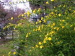 [070406_15.jpg]