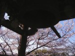 [070406_26.jpg]