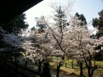 [070406_40.jpg]