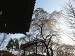 [070406_45.jpg]