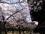 [070406_7.jpg]
