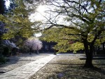 [070413_5.jpg]