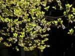 [070420_16.jpg]