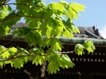 [070420_21.jpg]