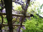 [070427_12.jpg]