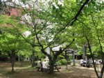 [070427_14.jpg]