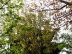[070427_21.jpg]
