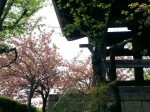 [070427_24.jpg]